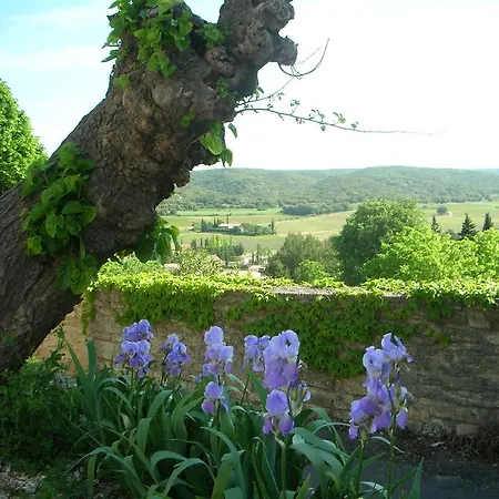 Le Clos Olives Feriehus