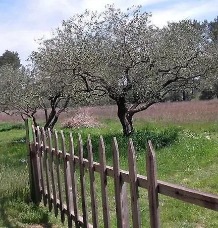 Feriehus Le Clos Olives Comps (Gard)