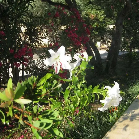 Tatil Evi Le Clos Olives *