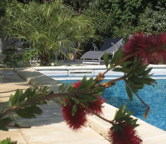 Le Clos Olives *