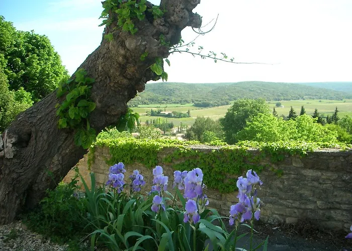 Le Clos Olives בית נופש