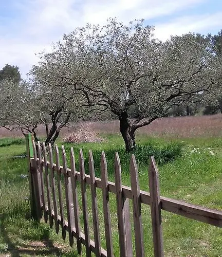 펜션 Le Clos Olives Comps (Gard)