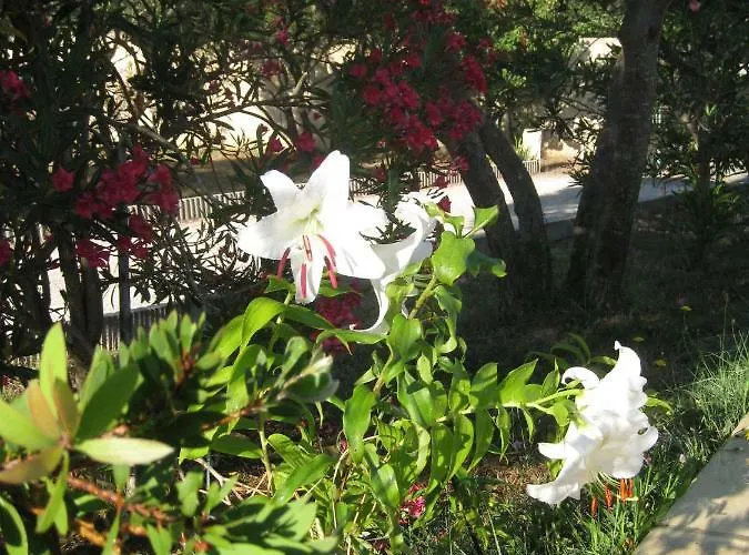 בית נופש Le Clos Olives *